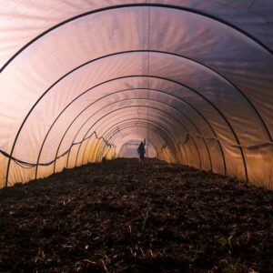 Crop Protection and Covering